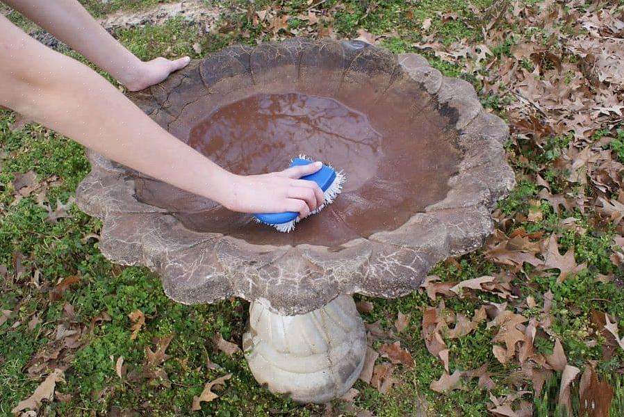 O cobre pode ser tanto um toque bonito para um banho de pássaros quanto prático