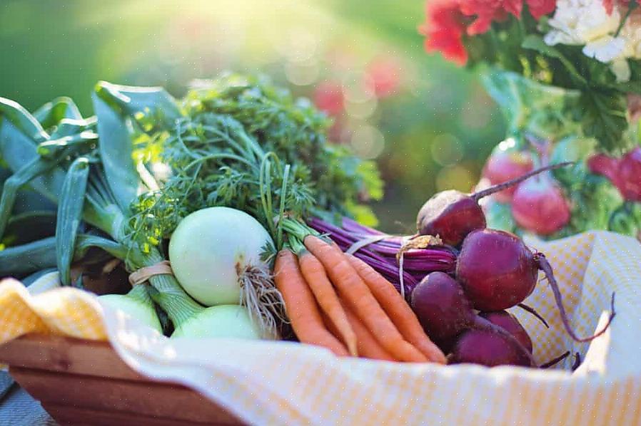 Aqui estão alguns vegetais para plantar em setembro