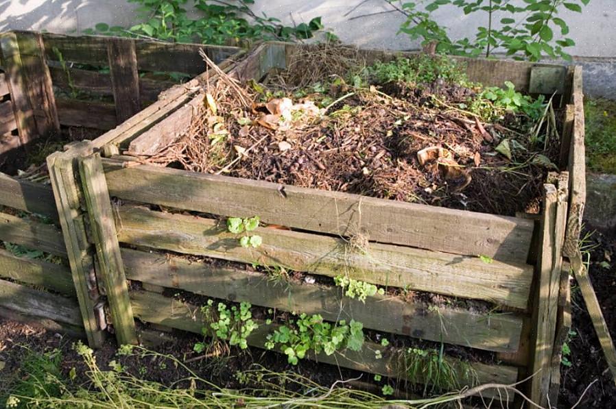 Encorajam o jardineiro a cultivar safras especificamente para a pilha de composto