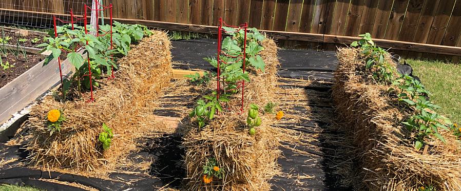 A jardinagem com fardos de palha é apenas isso