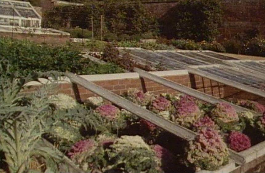 Permitindo ao jardineiro começar a estação de cultivo bem antes da última geada