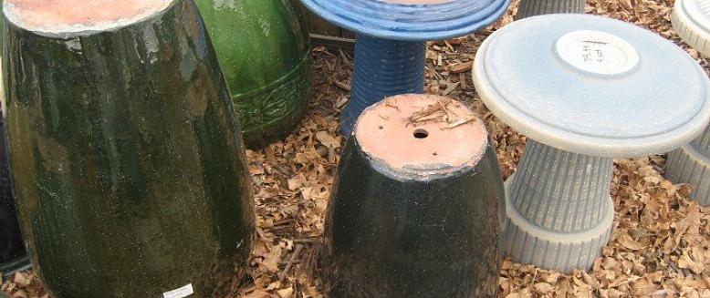 Também limpe os poleiros ou as bordas onde os pássaros se reúnem para beber