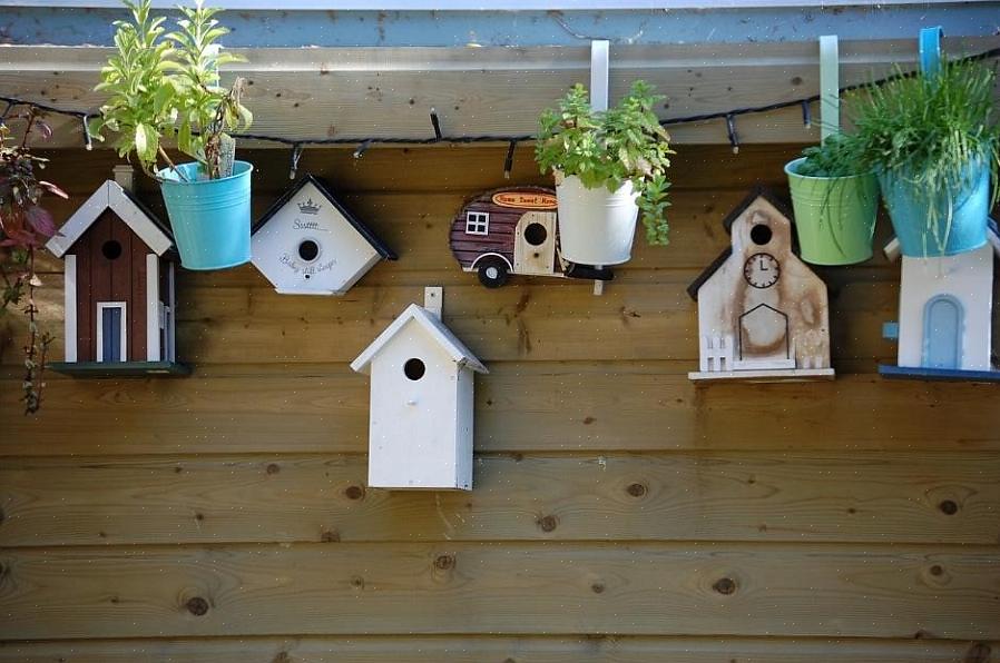 Kits de gaiola são uma ótima opção para construir uma gaiola se você não tiver muita habilidade com madeira