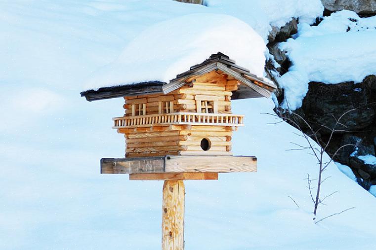 Há muitas maneiras de fornecer abrigo seguro para pássaros de inverno