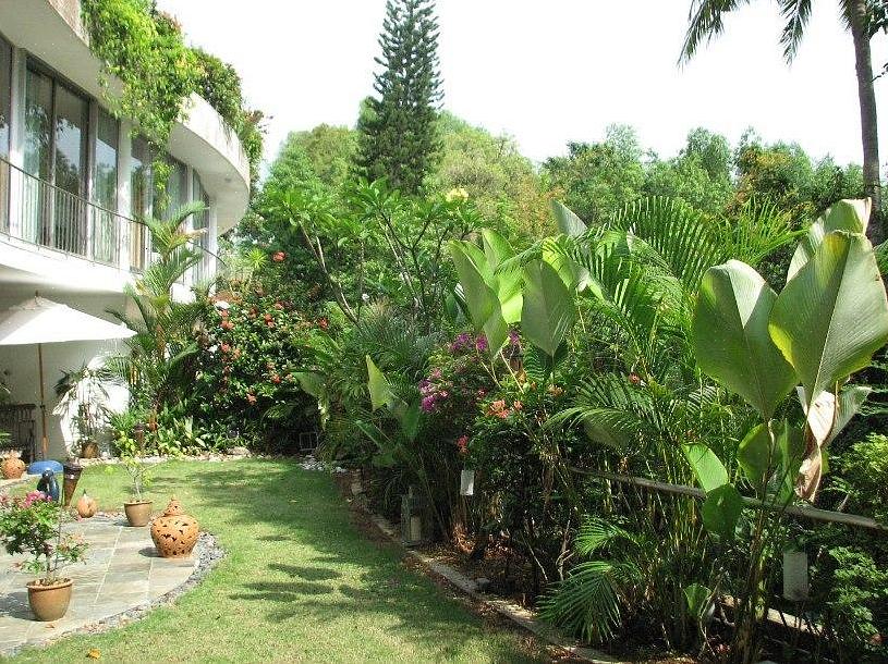 Um projeto de jardim de flores tropicais bem-sucedido incluirá alguns espaços negativos