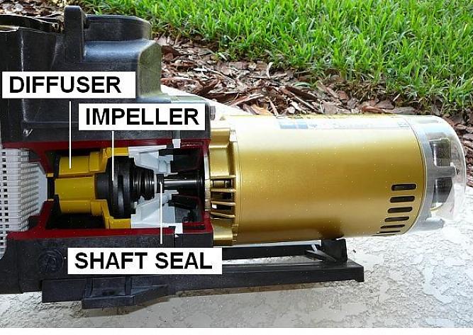 Uma bomba de piscina ou spa consiste em uma carcaça