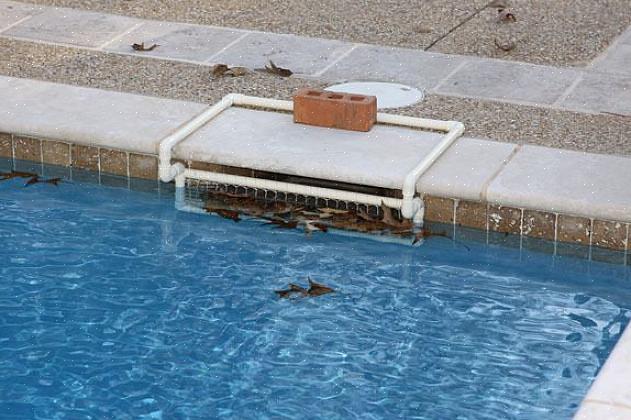 São projetados para se conectar a um limpador automático de piscina (aspirador) e